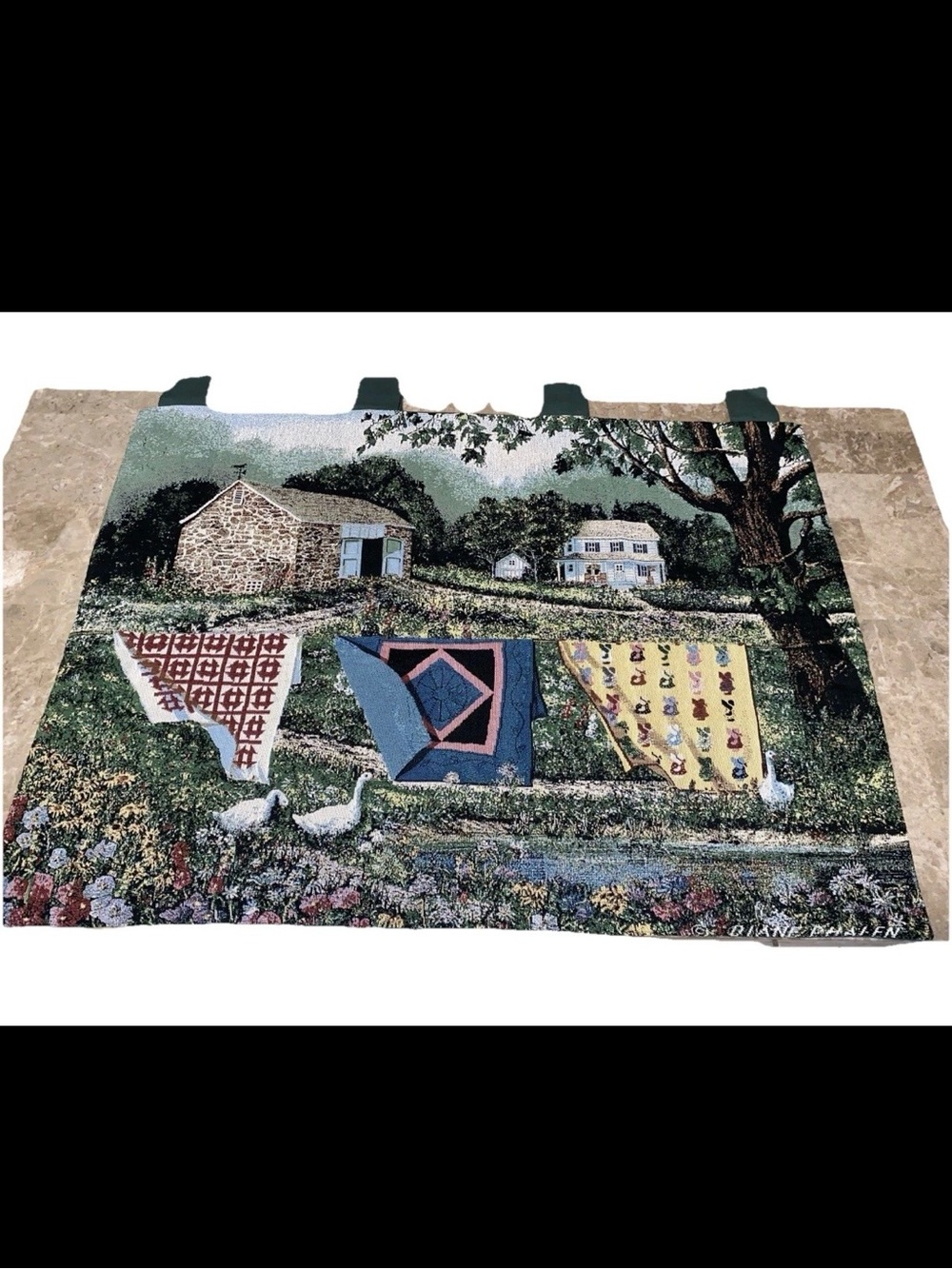 Diane Phalen wall Tapestry